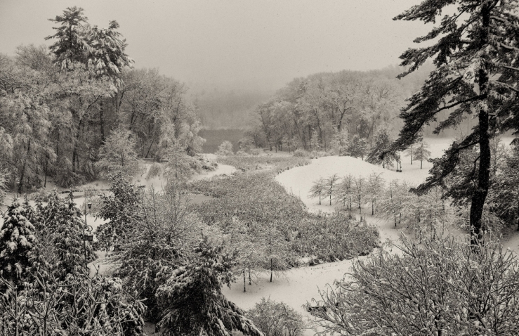 阿勒纳山谷被白雪覆盖